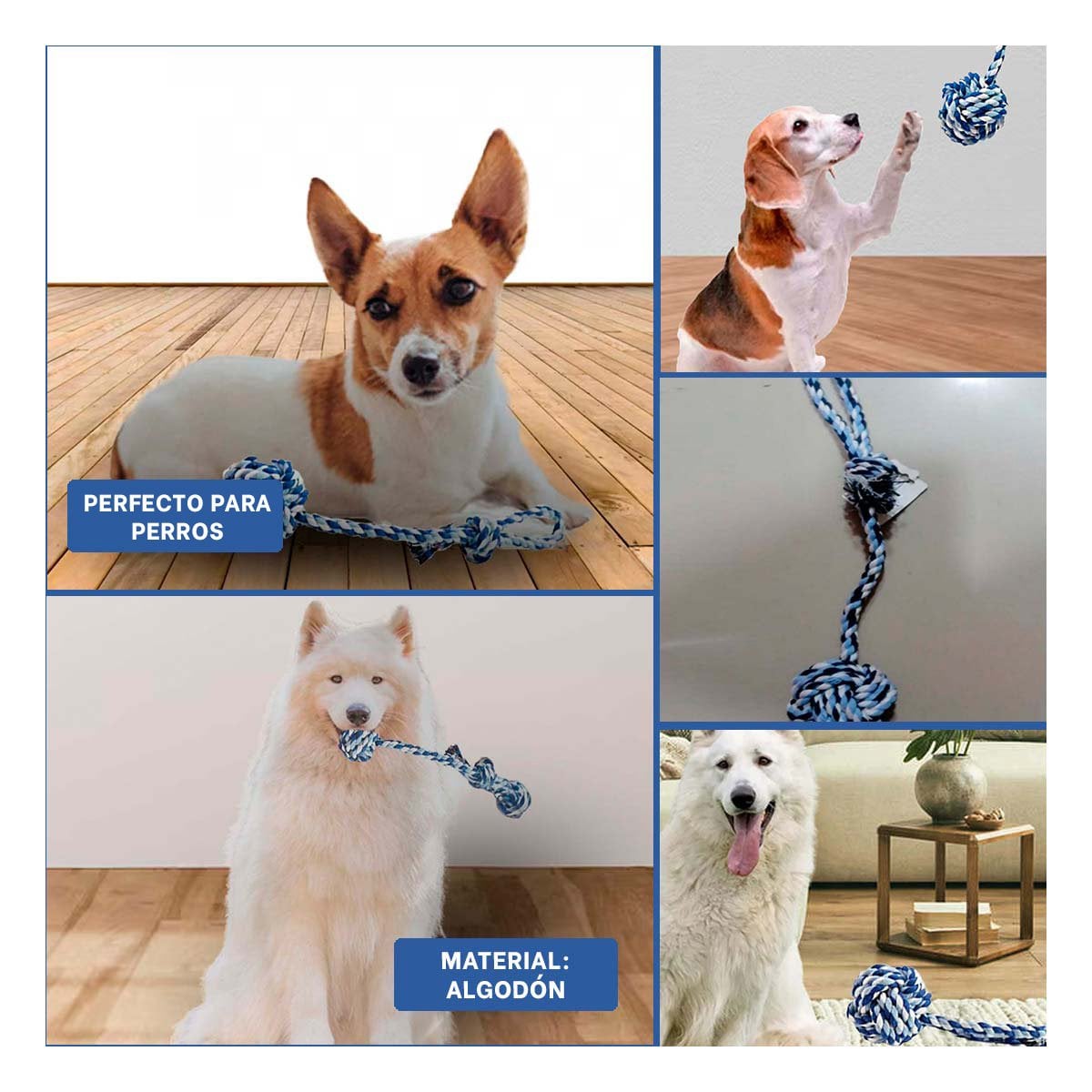 PACK4 ELEMENTO DE JUEGO PARA PERROS CON PELOTA Y SOGA AZUL CELESTE Y+REGALO STICKER - 2
