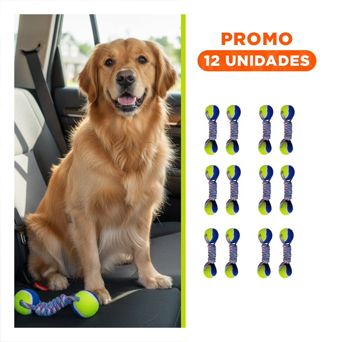PACK12 COMPLEMENTO DE ACTIVIDAD PARA PERROS PARA ESPACIOS AMARILLO CON AZUL Y+REGALO STICKER - 1