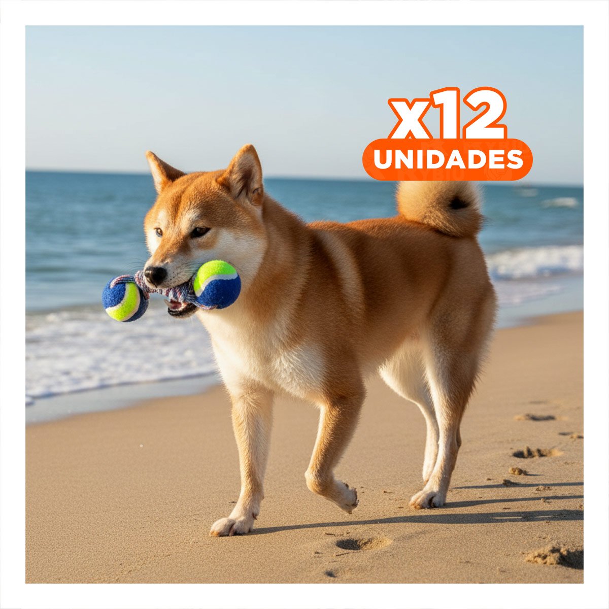 PACK12 OBJETO DE ENTRENAMIENTO CANINO PARA SESIONES DINAMICAS AMARILLO CON AZUL - 1
