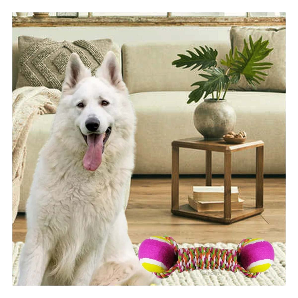 PACK12 JUEGO DOBLE DE PELOTAS PARA MASCOTAS DISENO RESISTENTE ROSADO CON AMARILLO - 5