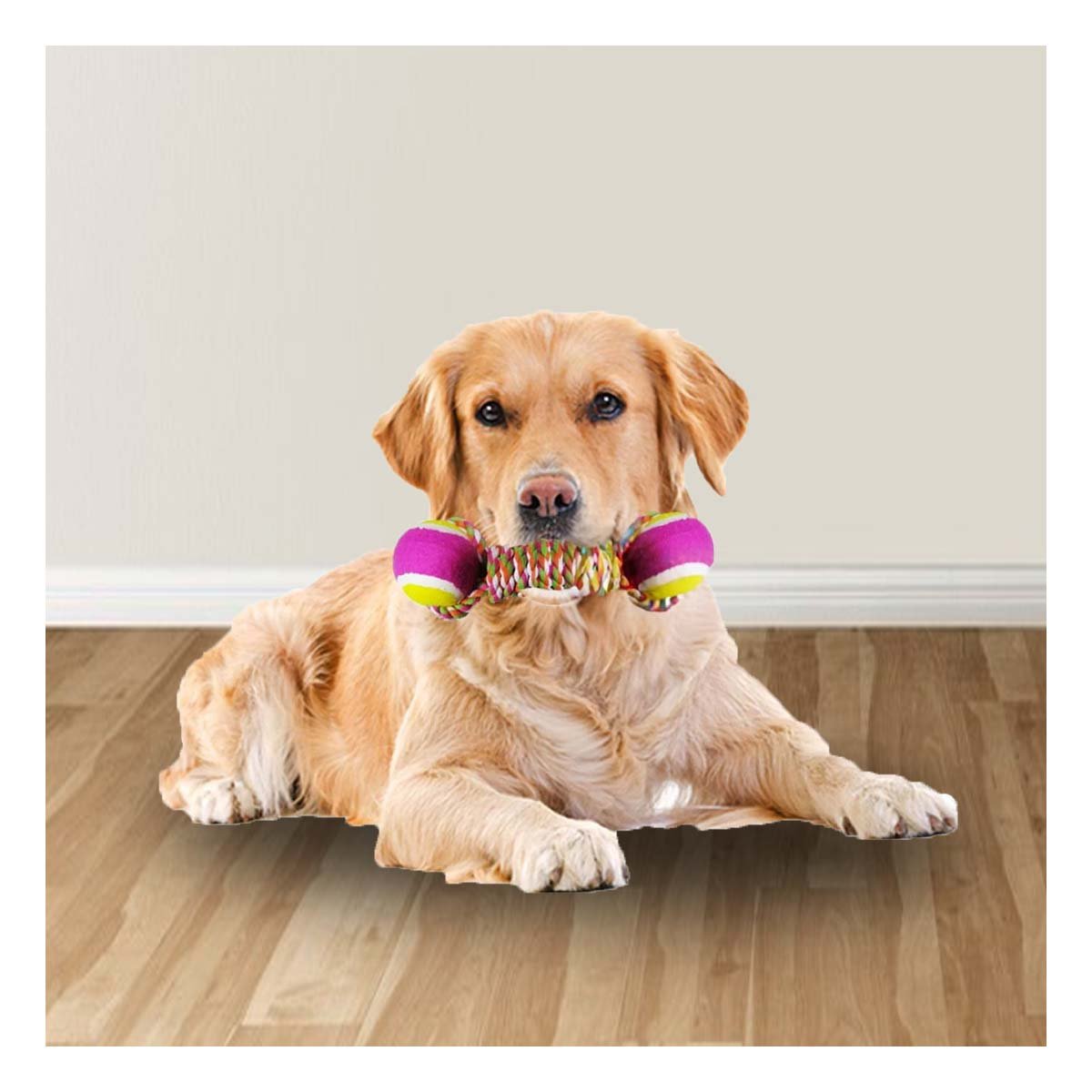 PACK4 CUERDA CON PELOTAS BICOLOR PARA ESTIMULAR EL INSTINTO DE JUEGO ROSADO CON AMARILLO - 3