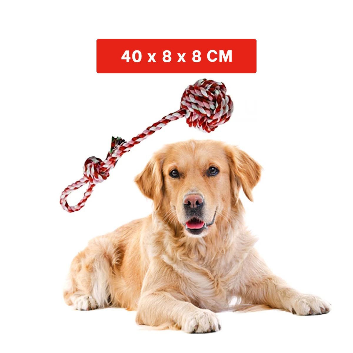 PACK4 OBJETO PARA MORDER CON PELOTA Y SOGA ROSADO ROJO Y+PAPEL REGALO - 4