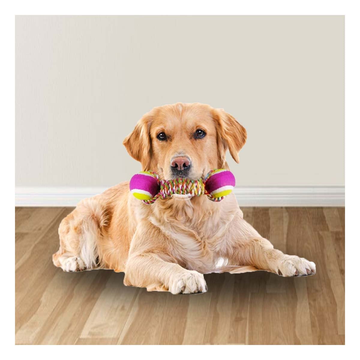 PACK2 CUERDA CON PELOTAS BICOLOR RESISTENTE ROSADO CON AMARILLO Y+REGALO STICKER - 5