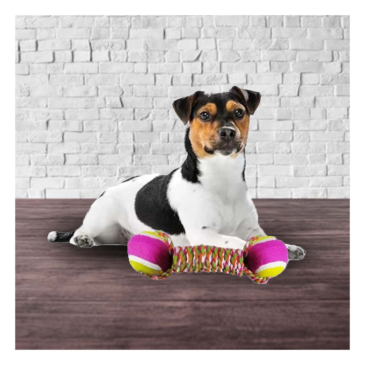 PACK12 COMPLEMENTO DE JUEGO PARA PERROS QUE REDUCE EL ESTRES ROSADO CON AMARILLO Y+PAPEL REGALO - 3