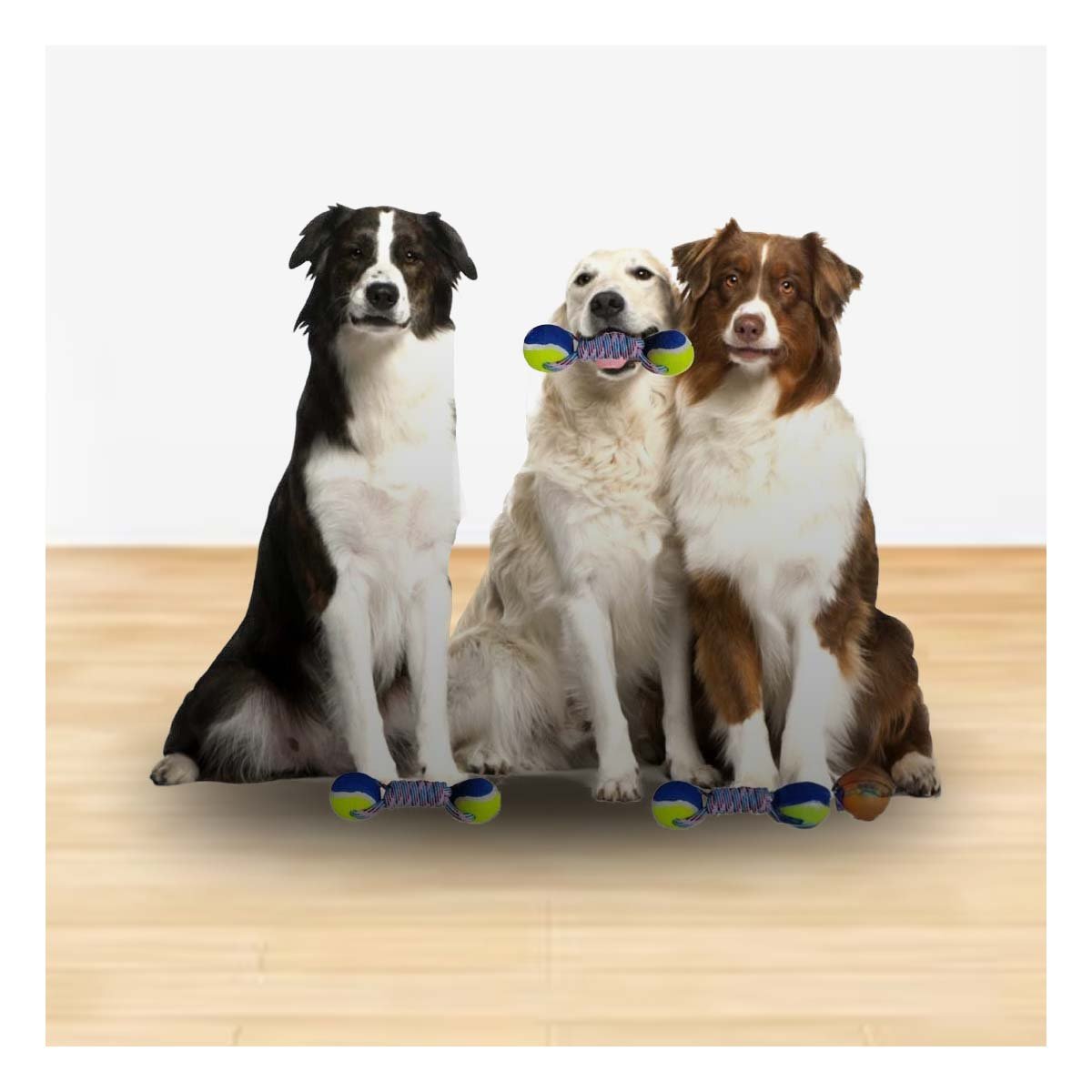 PACK12 COMPLEMENTO DE ACTIVIDAD PARA PERROS PARA ESTRES AMARILLO CON AZUL Y+PAPEL REGALO - 3