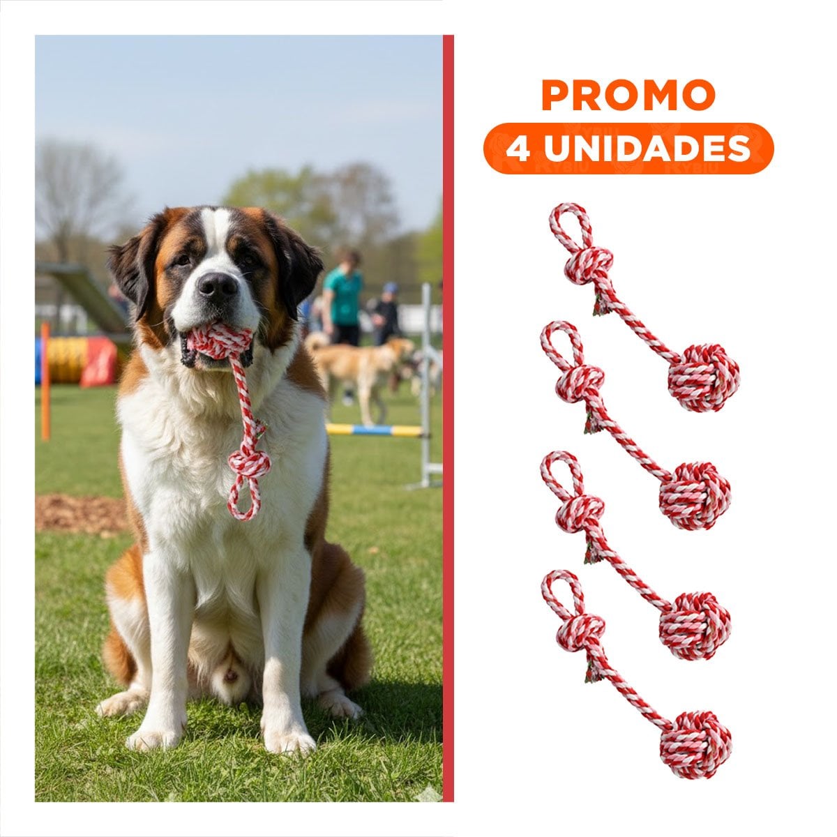 PACK4 IMPLEMENTO DE JUEGO CON PELOTA Y SOGA ROSADO ROJO Y+REGALO STICKER - 1
