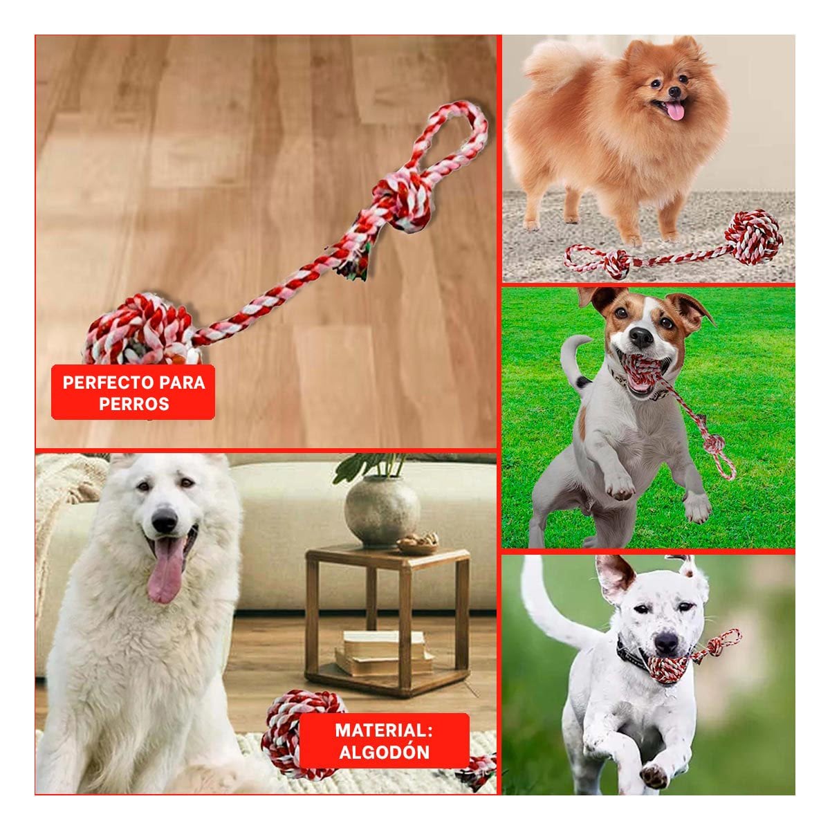 PACK4 IMPLEMENTO DE JUEGO CON PELOTA Y SOGA ROSADO ROJO Y+REGALO STICKER - 2