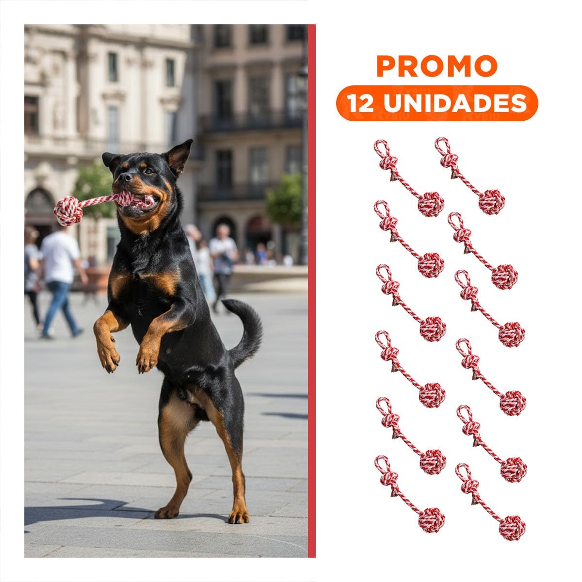 PACK12 DISPOSITIVO RECREATIVO CON PELOTA Y SOGA ROSADO ROJO Y+REGALO STICKER - 1