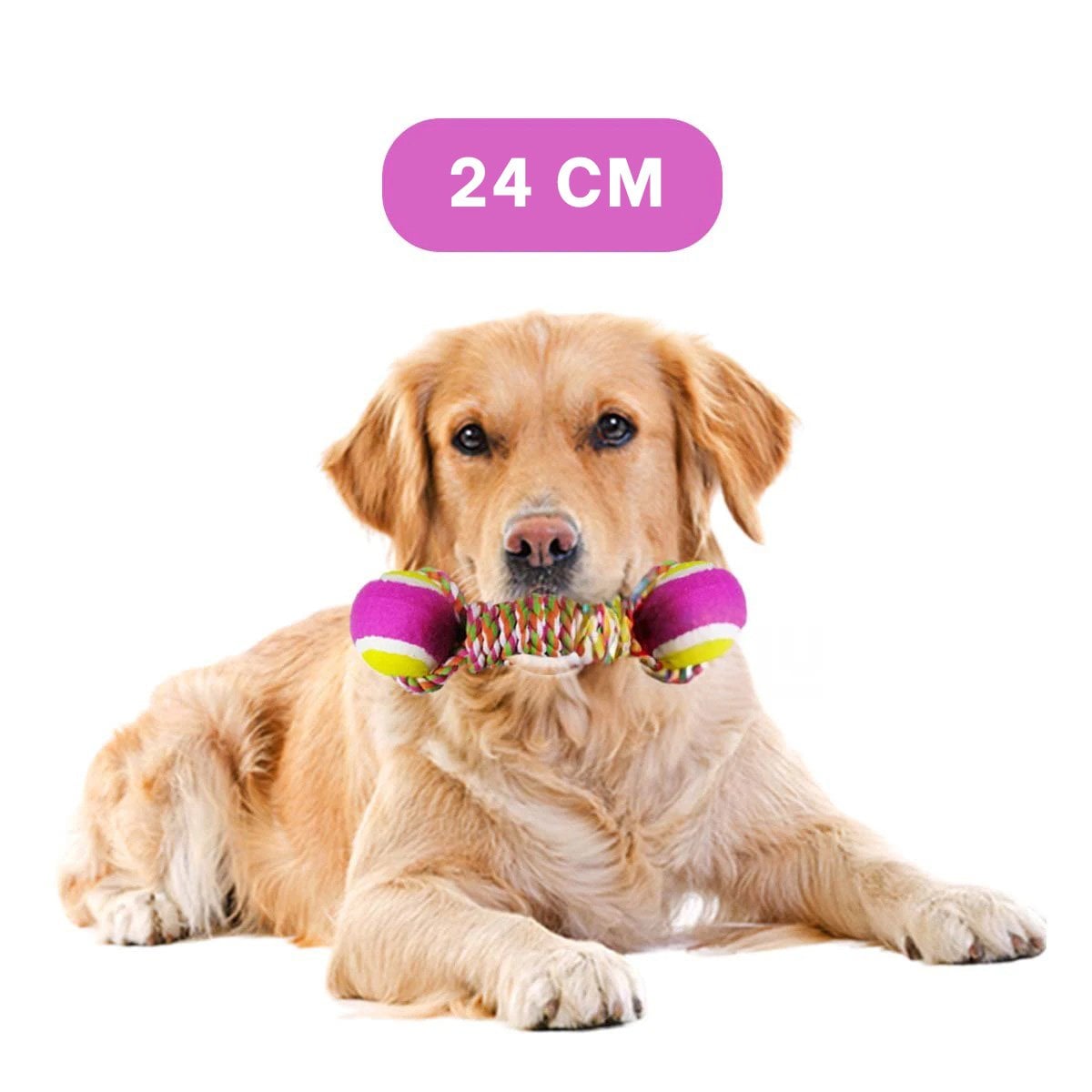PACK4 CUERDA CON PELOTAS BICOLOR LLAMATIVO PARA MASCOTAS ROSADO CON AMARILLO Y+PAPEL REGALO - 4