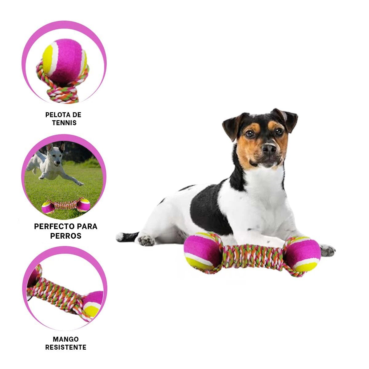 PACK6 JUEGO DE PELOTAS PARA MASCOTAS PARA PERROS ACTIVOS ROSADO CON AMARILLO Y+REGALO STICKER - 2