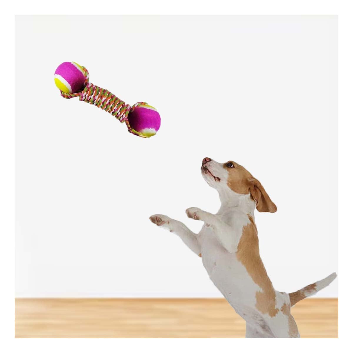 PACK6 JUEGO DE PELOTAS PARA MASCOTAS PARA PERROS ACTIVOS ROSADO CON AMARILLO Y+REGALO STICKER - 3