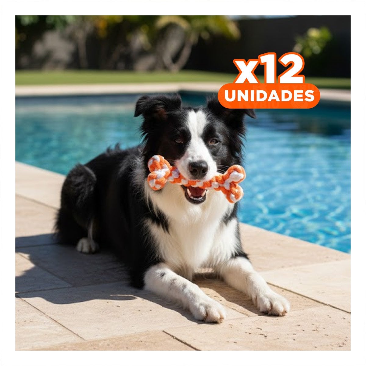 PACK12 CUERDA TRENZADA PARA MASCOTAS PARA ACTIVIDAD FISICA NARANJA - 1