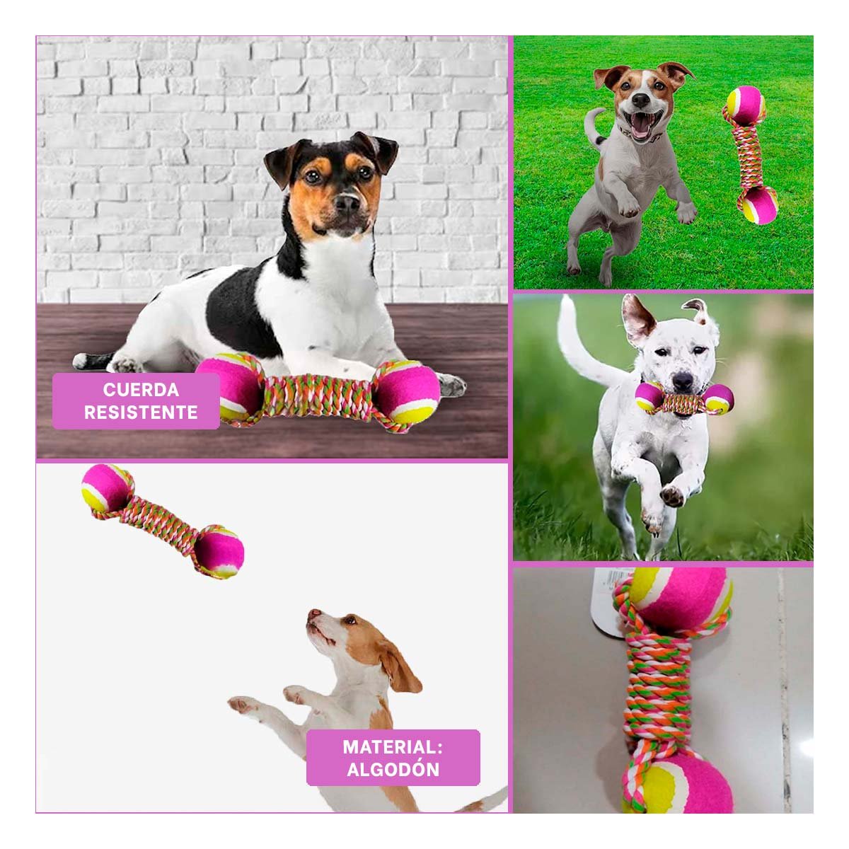 PACK4 JUEGO DOBLE DE PELOTAS PARA MASCOTAS CON CUERDA ROSADO CON AMARILLO Y+REGALO STICKER - 2
