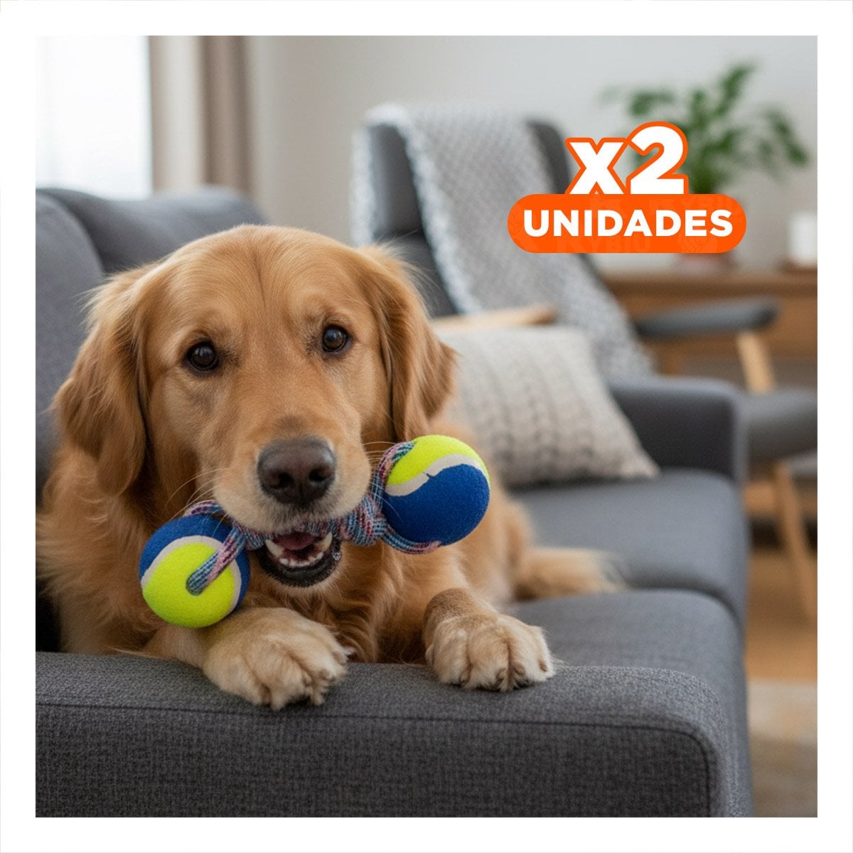 PACK2 ARTICULO RECREATIVO CANINO PARA JUEGOS DINAMICOS AMARILLO CON AZUL Y+REGALO STICKER - 1