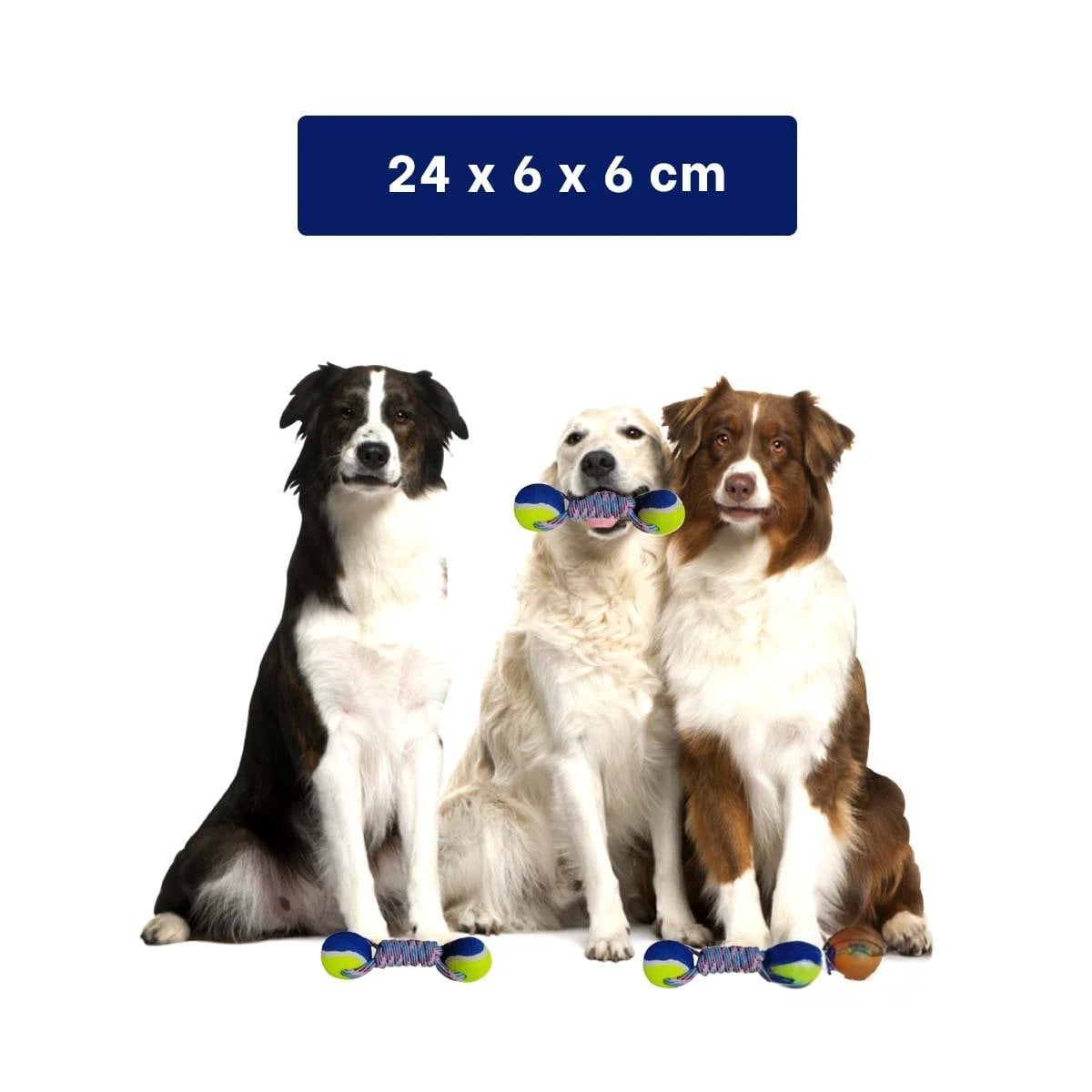 PACK2 ARTICULO RECREATIVO CANINO PARA JUEGOS DINAMICOS AMARILLO CON AZUL Y+REGALO STICKER - 4