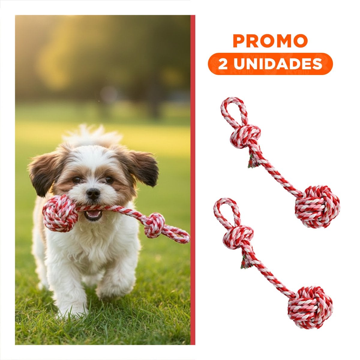 PACK2 OBJETO DE JUEGO CON PELOTA Y SOGA ROSADO ROJO - 1