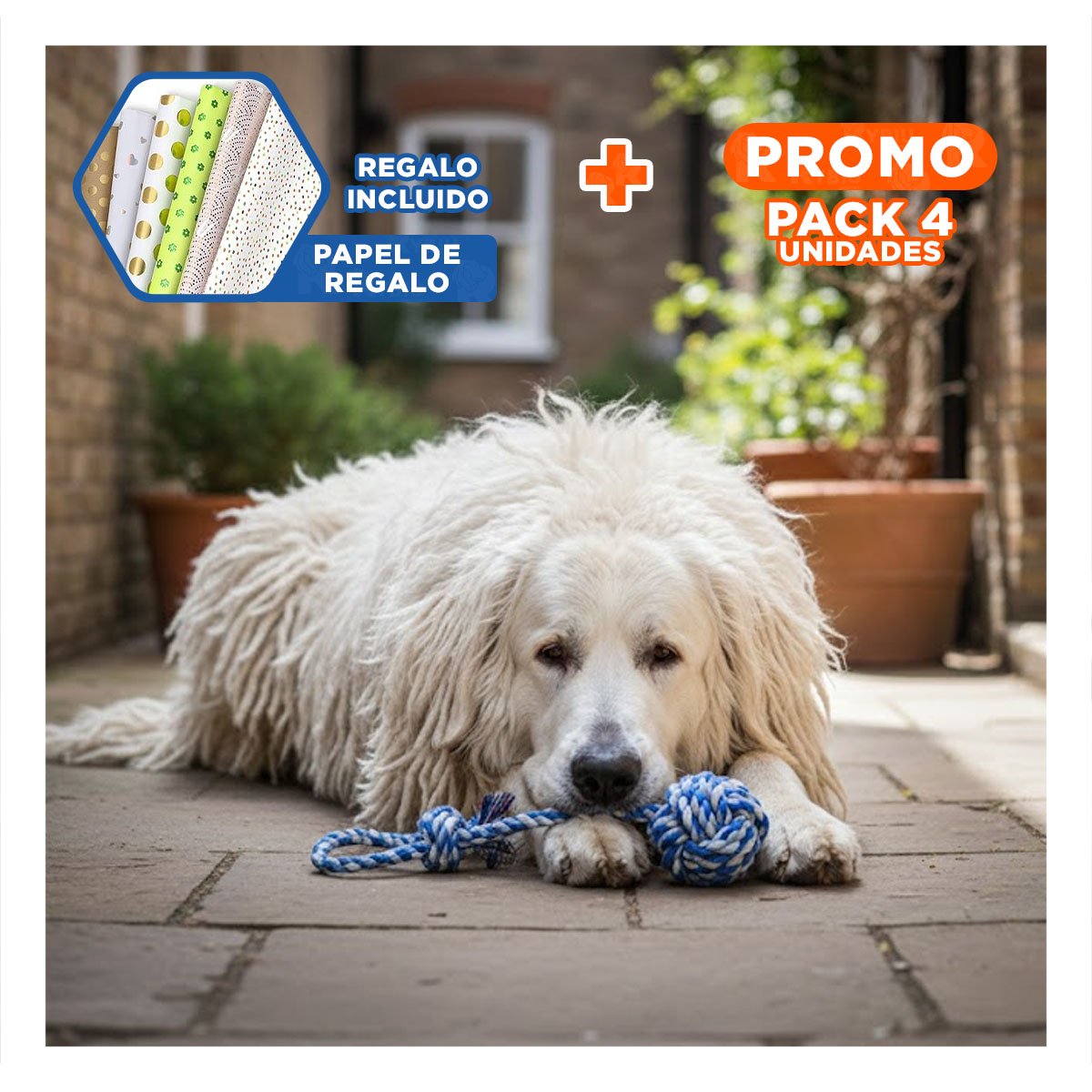 PACK4 PRODUCTO DE RESISTENCIA CANINA CON PELOTA Y SOGA AZUL CELESTE Y+PAPEL REGALO - 1