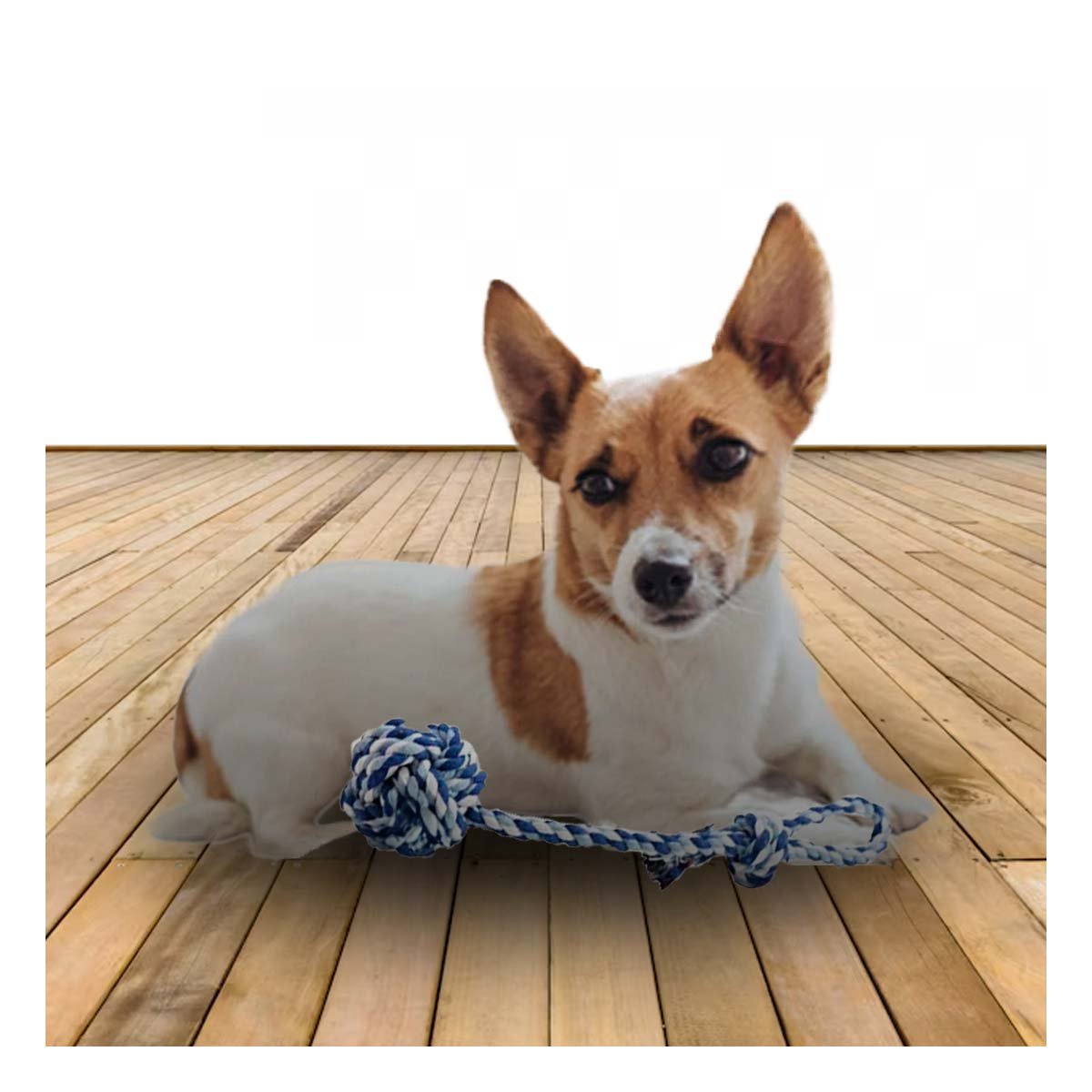 PACK12 ELEMENTO RECREATIVO PARA MASCOTAS CON PELOTA Y SOGA AZUL CELESTE - 2