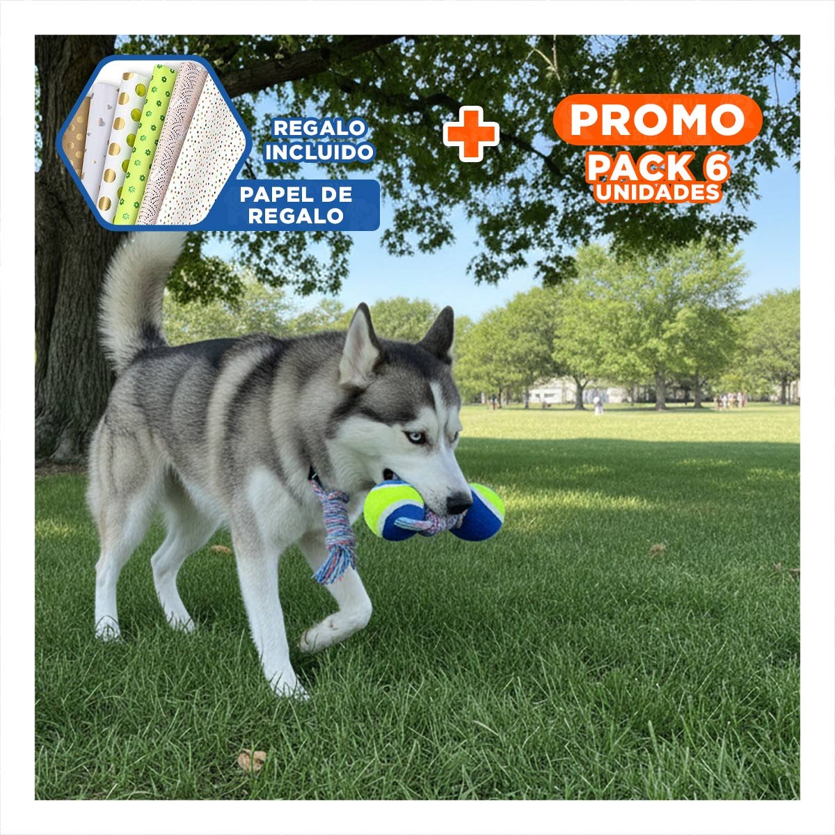 PACK6 OBJETO DE ENTRENAMIENTO CANINO PARA AIRE LIBRE AMARILLO CON AZUL Y+PAPEL REGALO - 1