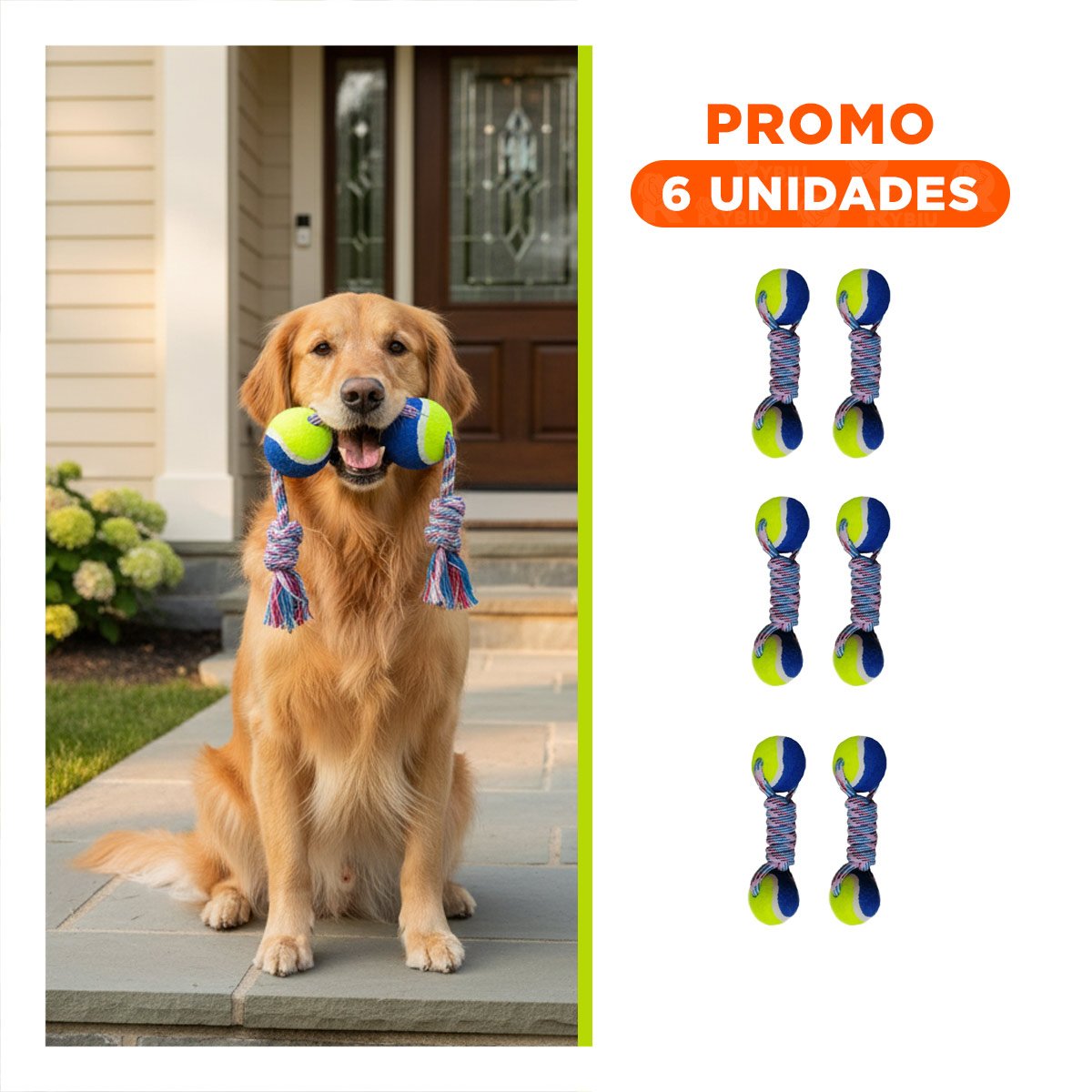PACK6 OBJETO DE ENTRENAMIENTO CANINO PARA MEJORAR LA AGILIDAD AMARILLO CON AZUL - 1