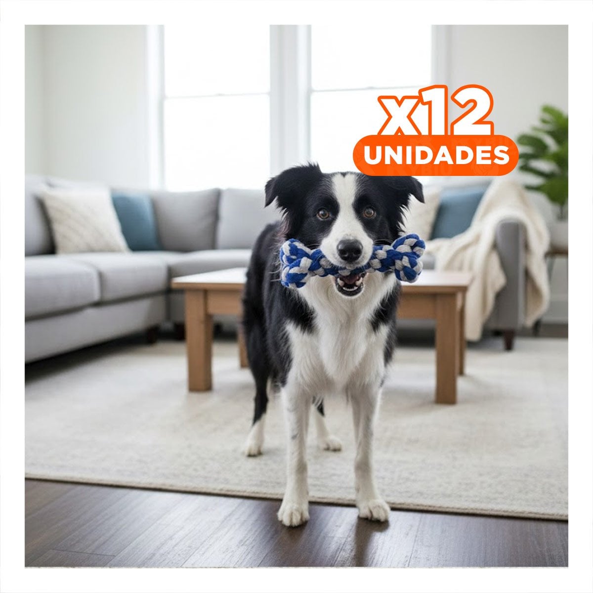 PACK12 OBJETO INTERACTIVO CANINO COMPACTO Y PRACTICO AZUL - 1