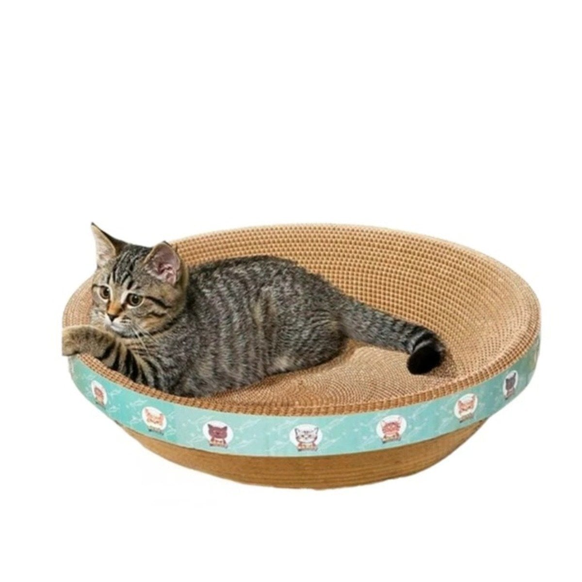 PACK4 MODULO DE JUEGO CIRCULAR CON CATNIP CHICO 40 CM MARRON PARA GATO CASA Y+PAPEL REGALO - 3