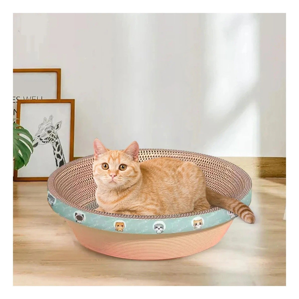 PACK12 CENTRO DE ENTRETENIMIENTO CIRCULAR CON CATNIP GRANDE 50CM MARRON - 3