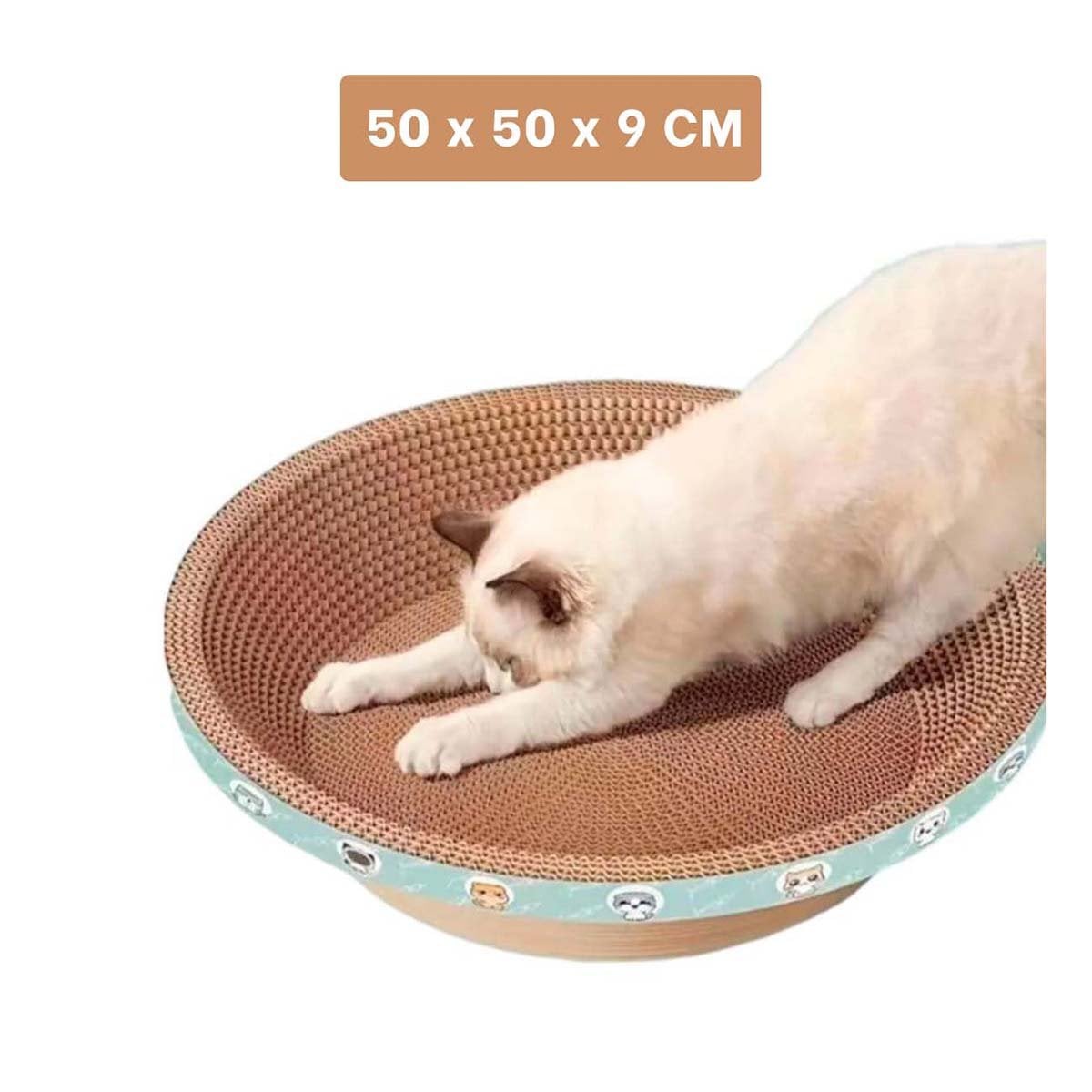 PACK12 CENTRO DE ENTRETENIMIENTO CIRCULAR CON CATNIP GRANDE 50CM MARRON - 4