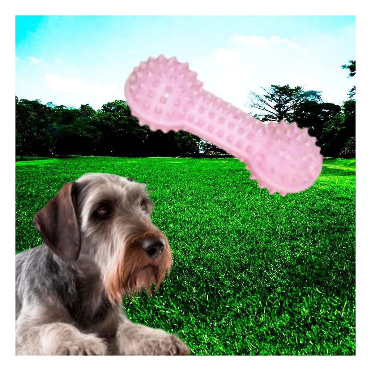 PACK12 HERRAMIENTA INTERACTIVA ROSADO PARA MASCOTAS PESA CON PUNTAS SEGURAS - 2