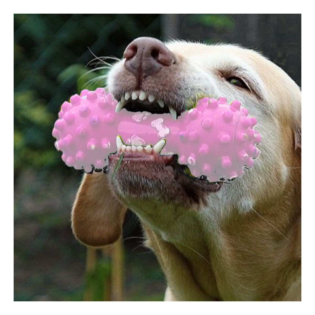 PACK12 HERRAMIENTA INTERACTIVA ROSADO PARA MASCOTAS PESA CON PUNTAS SEGURAS - 3