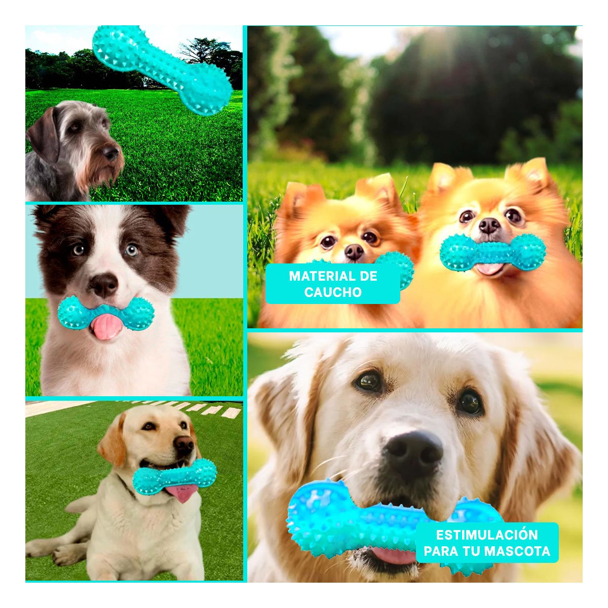 PACK12 HERRAMIENTA DE JUEGO VERDE AGUA PARA MASCOTAS FORMA DE PESA DURABLE Y+PAPEL REGALO - 2