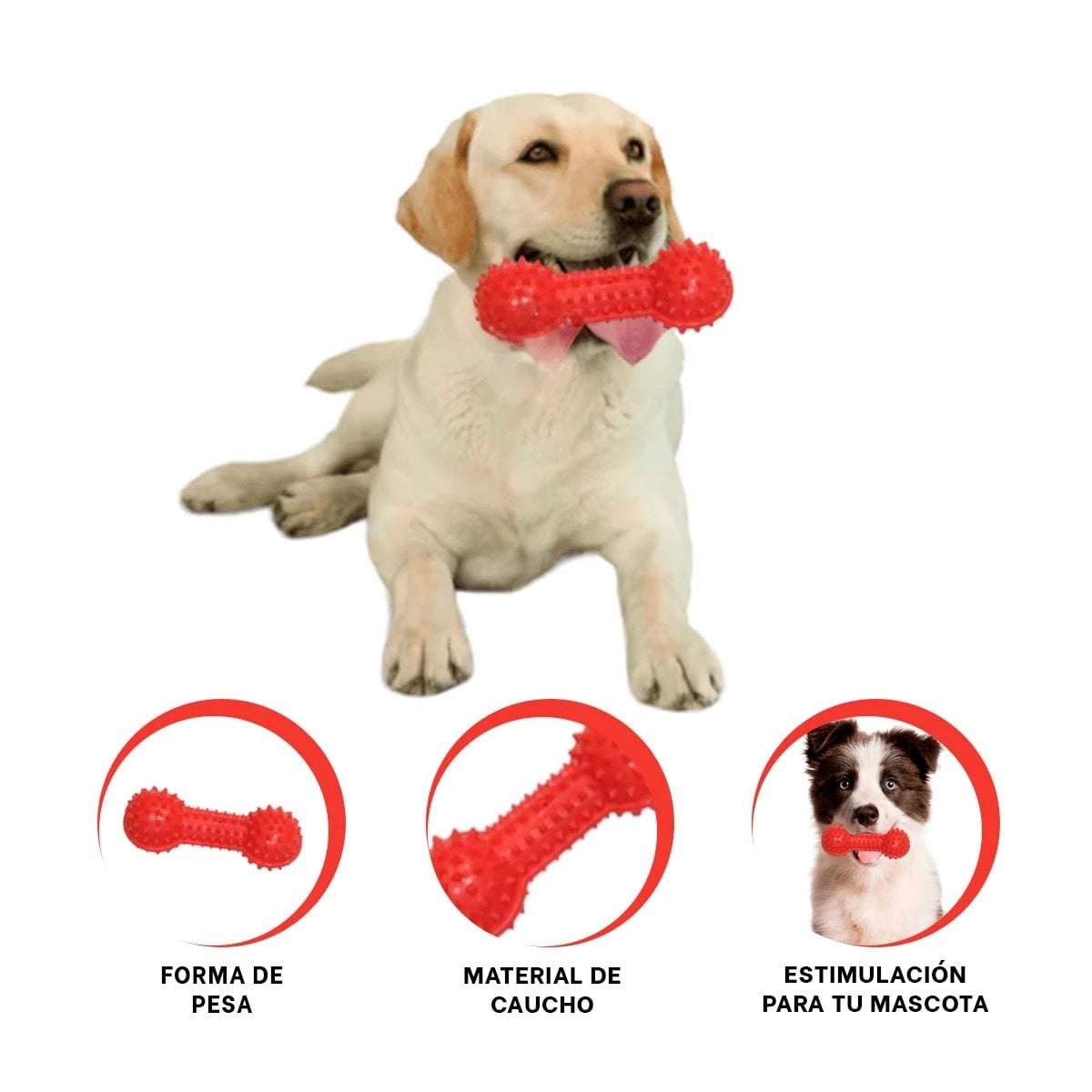PACK6 HERRAMIENTA ROJO PARA MASCOTAS FORMA DE PESA CON PUNTAS RESISTENTES Y+REGALO STICKER - 2