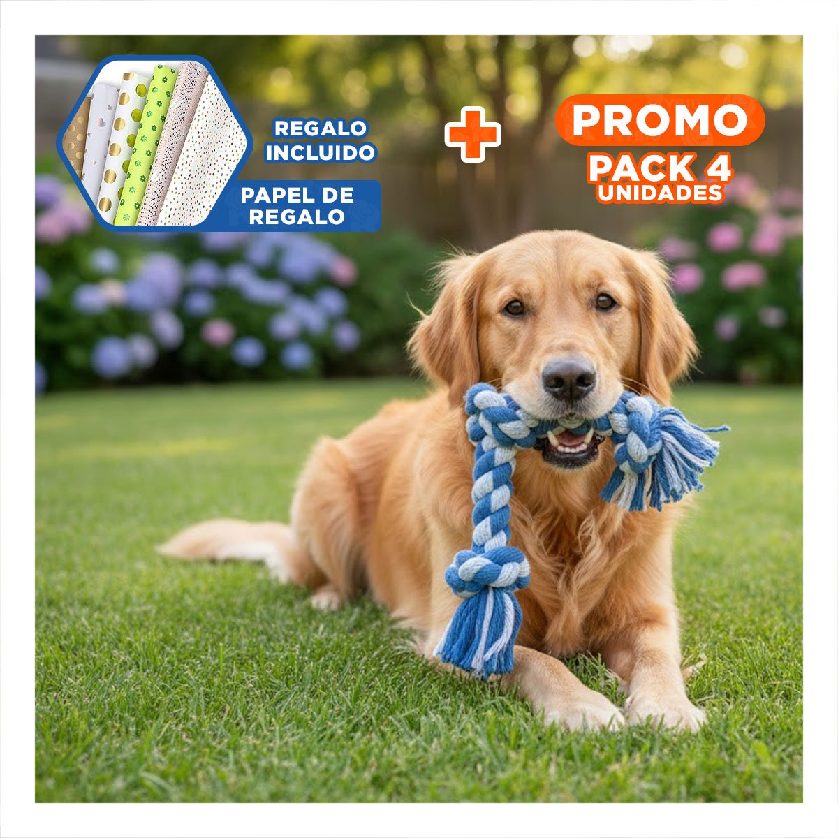 PACK4 ELEMENTO DE JUEGO PARA PERROS RESISTENTE DE USO FRECUENTE AZUL Y+PAPEL REGALO - 1