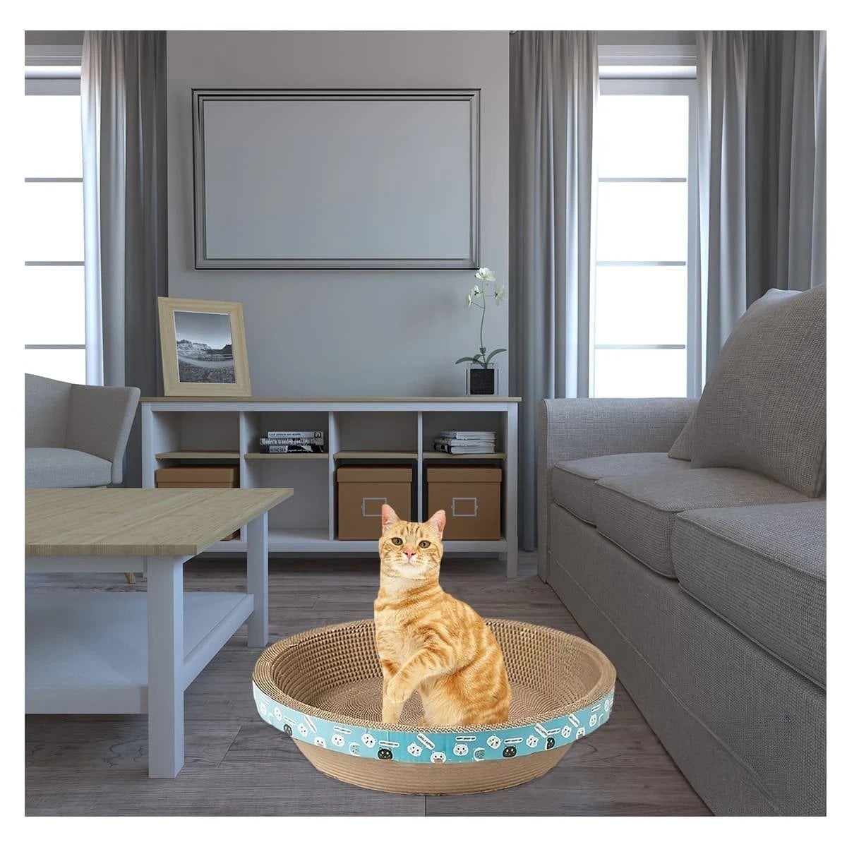 PACK6 ESPACIO DE JUEGO CIRCULAR CON CATNIP CHICO 40 CM MARRON PARA GATO CASA Y+REGALO STICKER - 5