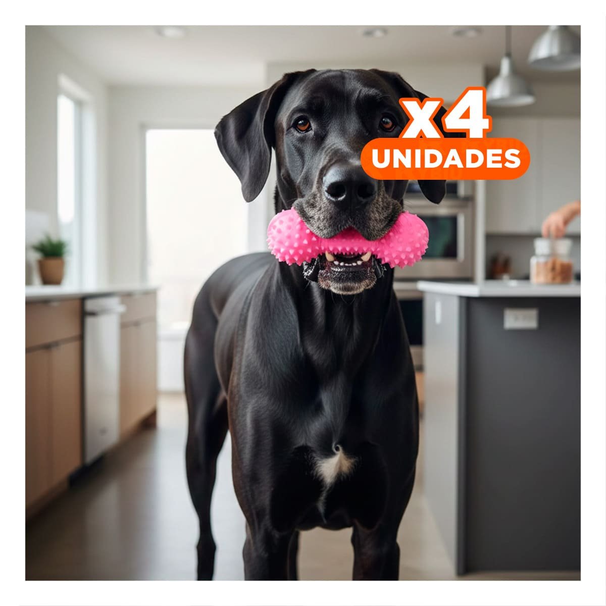 PACK4 APARATO ROSADO PARA MASCOTAS FORMA DE PESA CON PUNTAS DURABLES - 1