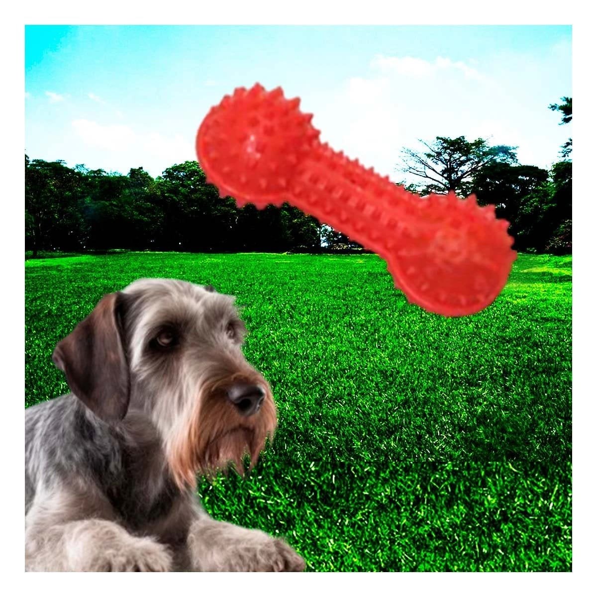 PACK12 HERRAMIENTA INTERACTIVA ROJO PARA MASCOTAS PESA CON PUNTAS SEGURAS - 5