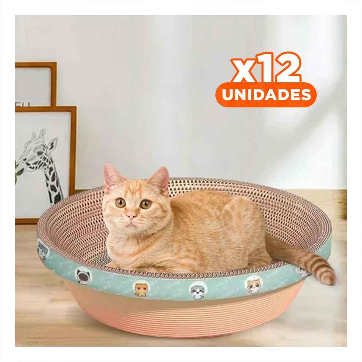 PACK12 COMPLEMENTO DE JUEGO CIRCULAR CON CATNIP CHICO 40 CM MARRON PARA GATO Y+REGALO STICKER - 1