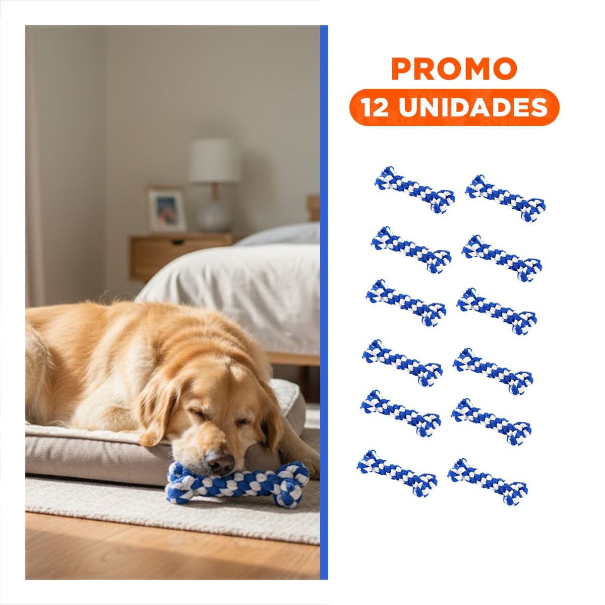 PACK12 JUGUETE PARA PERROS COMPACTO PARA ESPACIOS REDUCIDOS AZUL Y+REGALO STICKER - 1