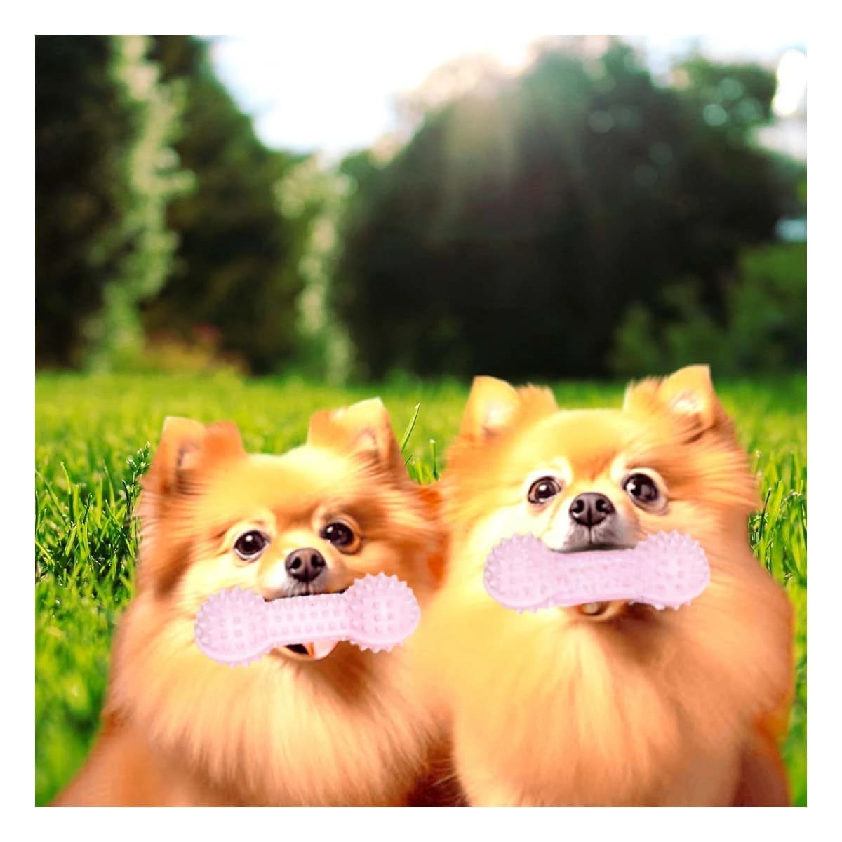 PACK6 APARATO PEQUENO ROSADO PARA MASCOTAS PESA CON PUNTAS SUAVES - 2