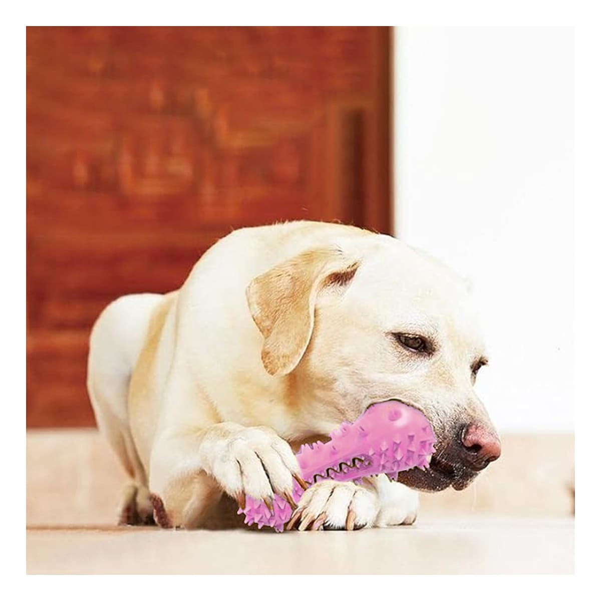 PACK6 APARATO PEQUENO ROSADO PARA MASCOTAS PESA CON PUNTAS SUAVES - 5