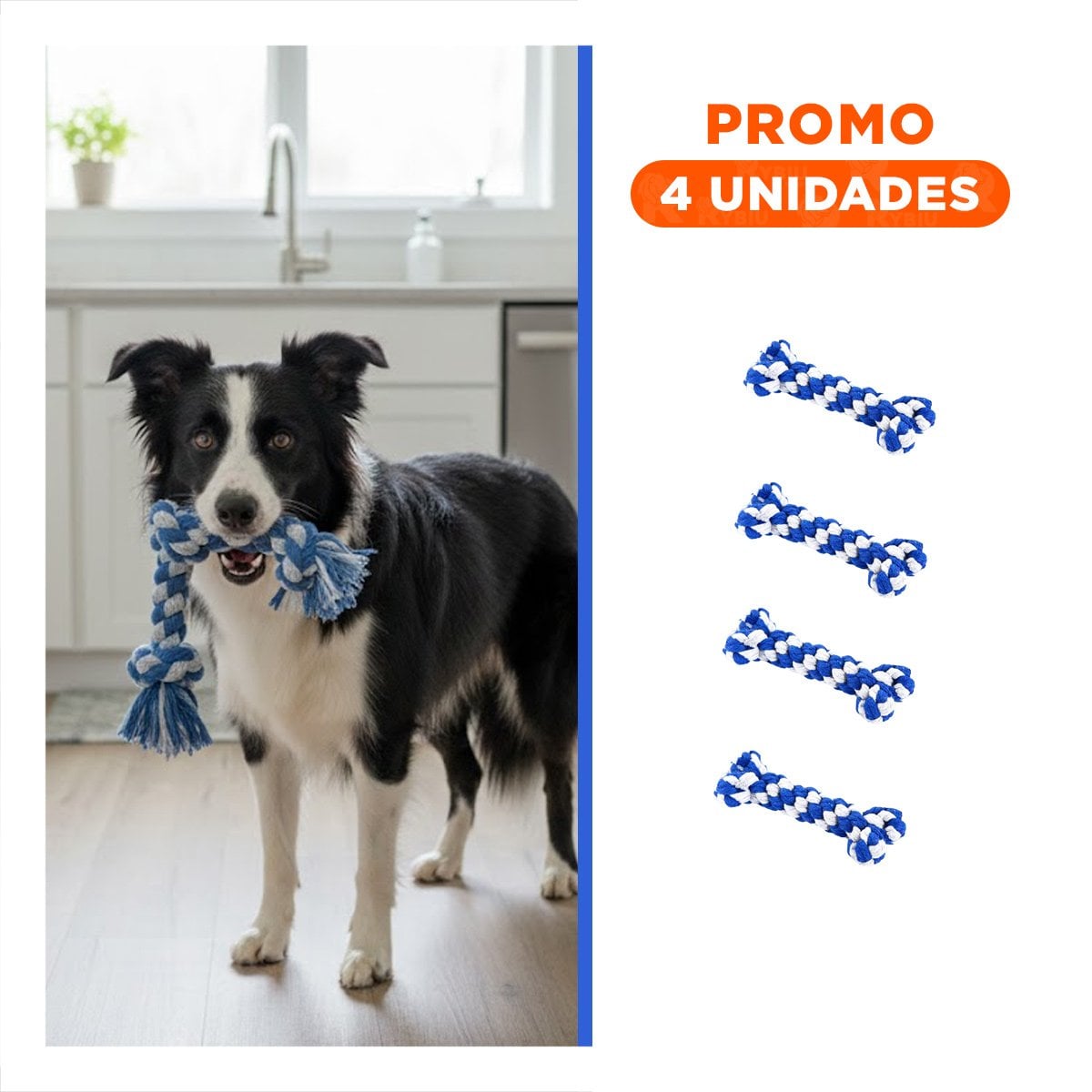 PACK4 OBJETO INTERACTIVO CANINO EN DISENO DE HUESO AZUL Y+REGALO STICKER - 1