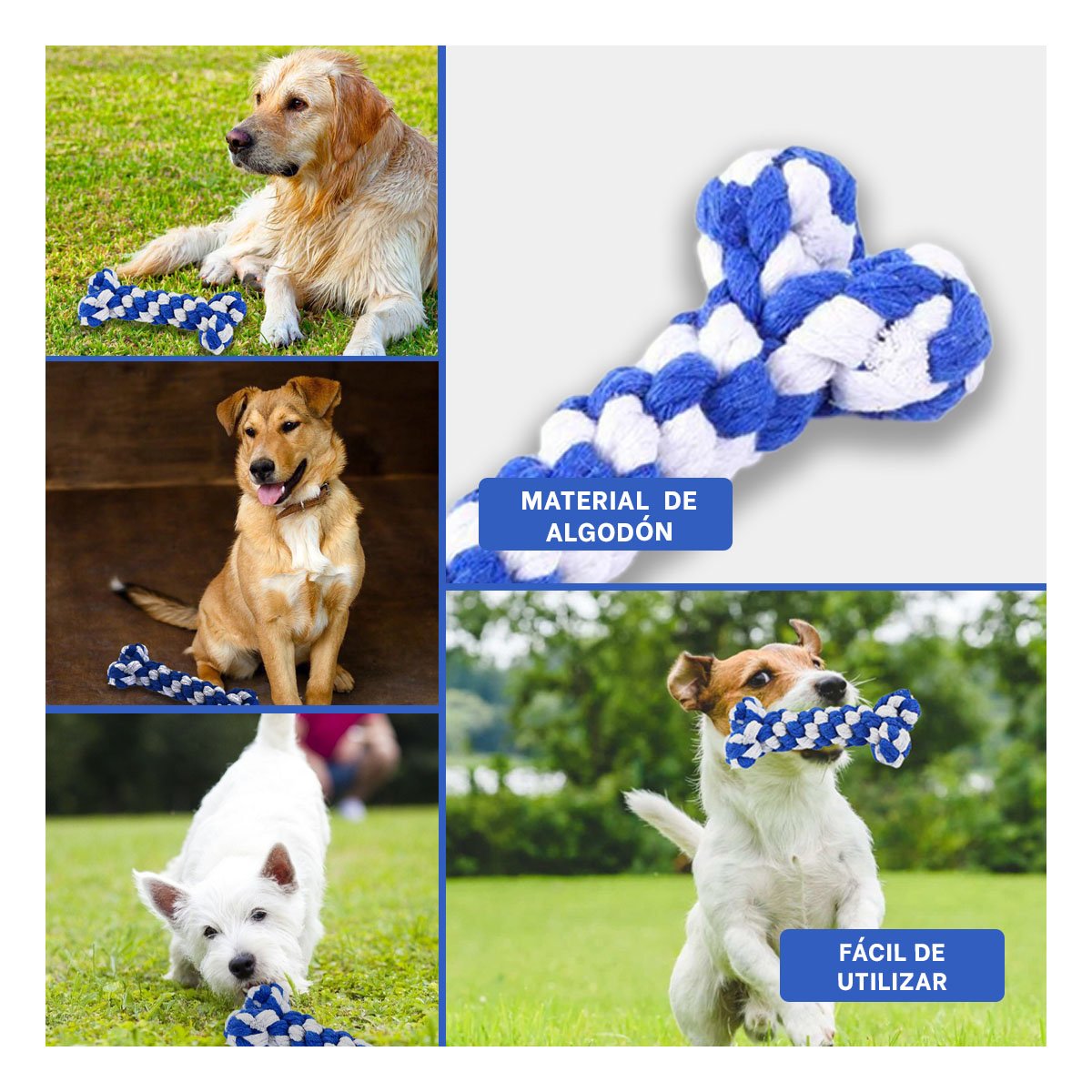 PACK4 OBJETO INTERACTIVO CANINO EN DISENO DE HUESO AZUL Y+REGALO STICKER - 2