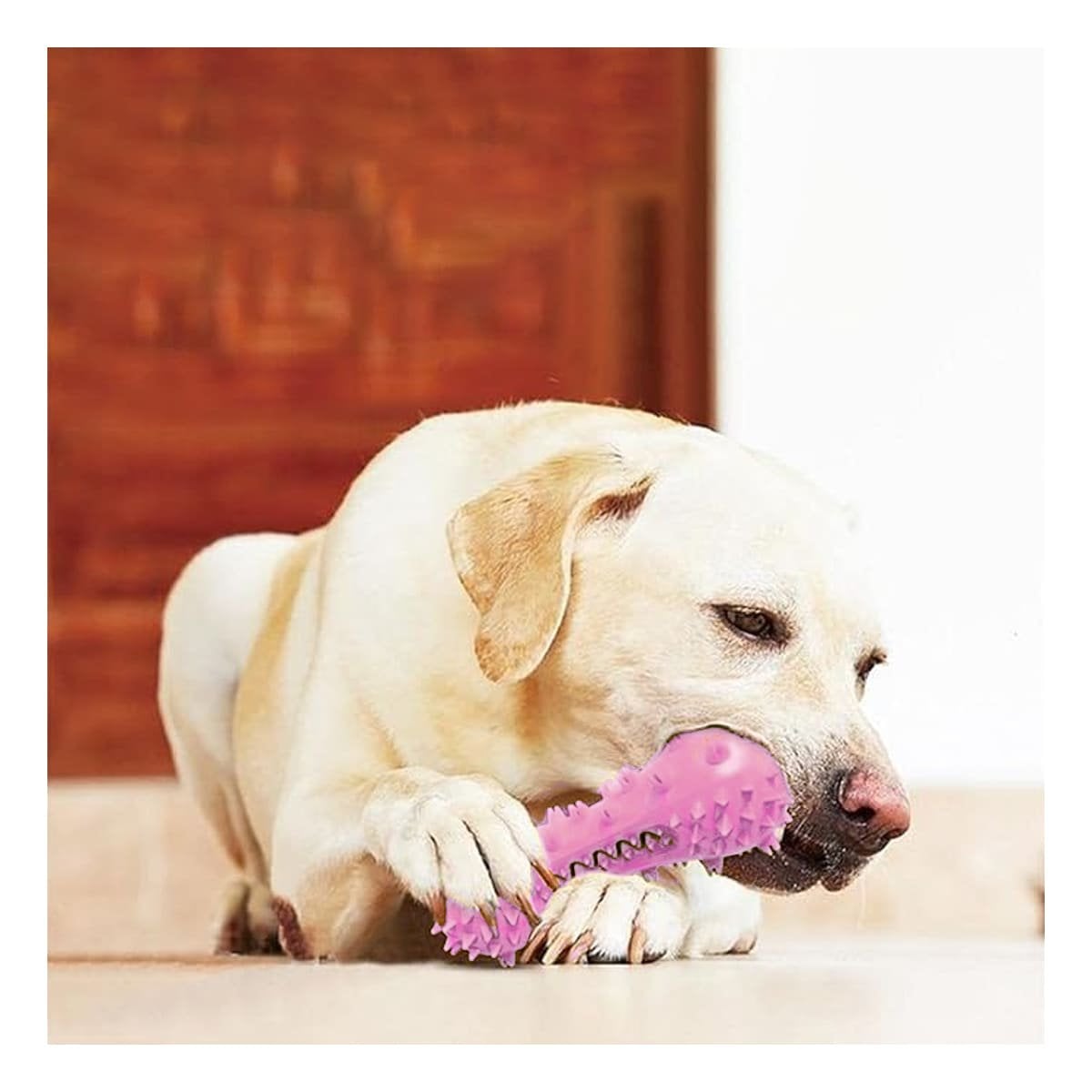 PACK6 HERRAMIENTA ROSADO PARA MASCOTAS FORMA DE PESA CON PUNTAS RESISTENTES Y+REGALO STICKER - 3