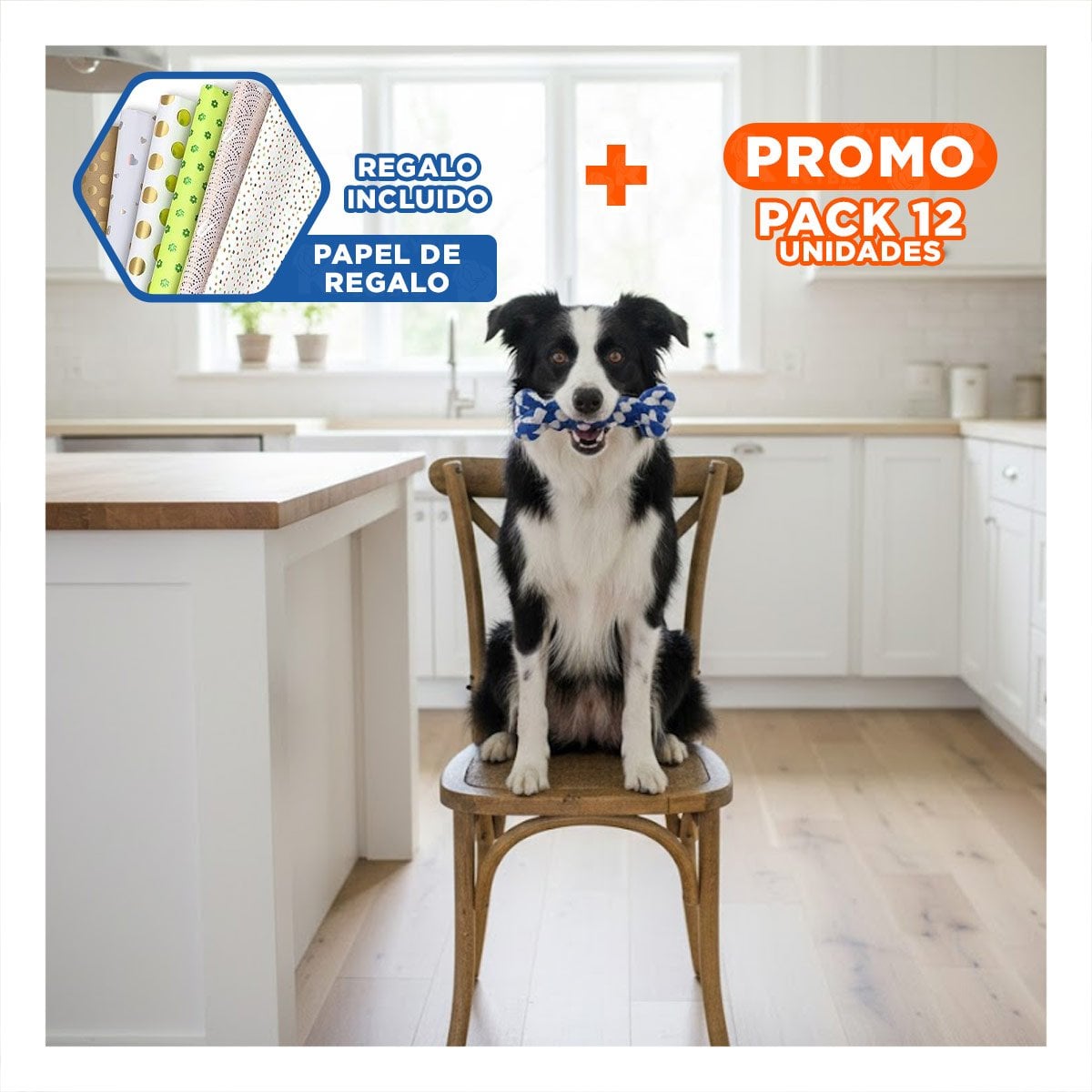 PACK12 JUGUETE PARA PERROS DISENO TRENZADO DE ALTA DURABILIDAD AZUL Y+PAPEL REGALO - 1