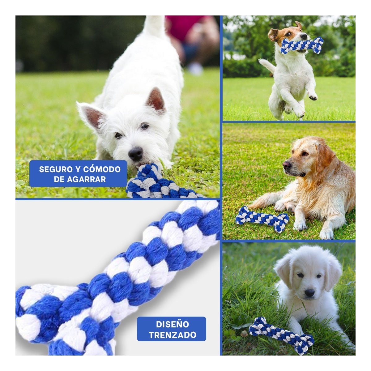 PACK12 JUGUETE PARA PERROS DISENO TRENZADO DE ALTA DURABILIDAD AZUL Y+PAPEL REGALO - 2