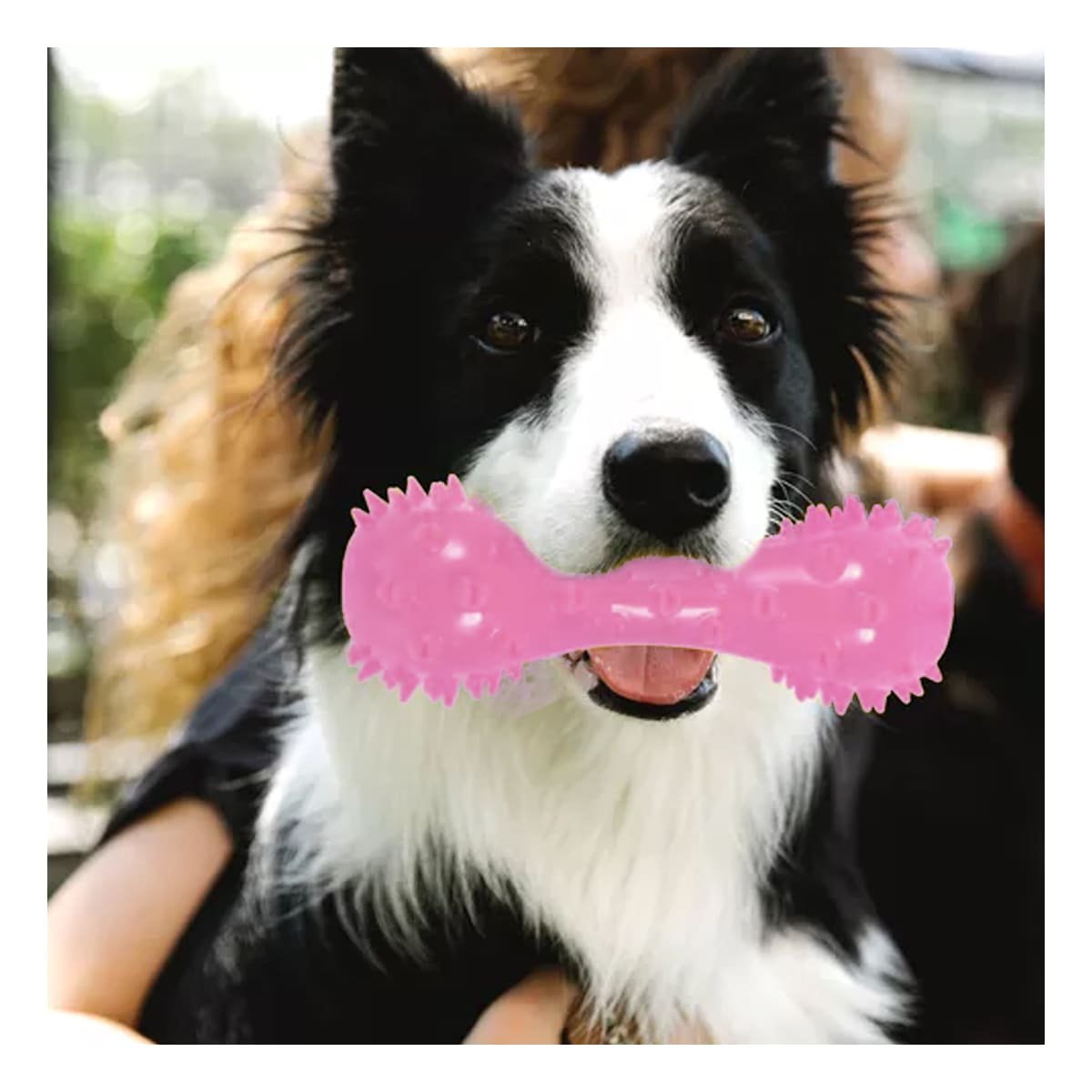 PACK12 HERRAMIENTA DE JUEGO ROSADO PARA MASCOTAS FORMA DE PESA DURABLE Y+PAPEL REGALO - 3