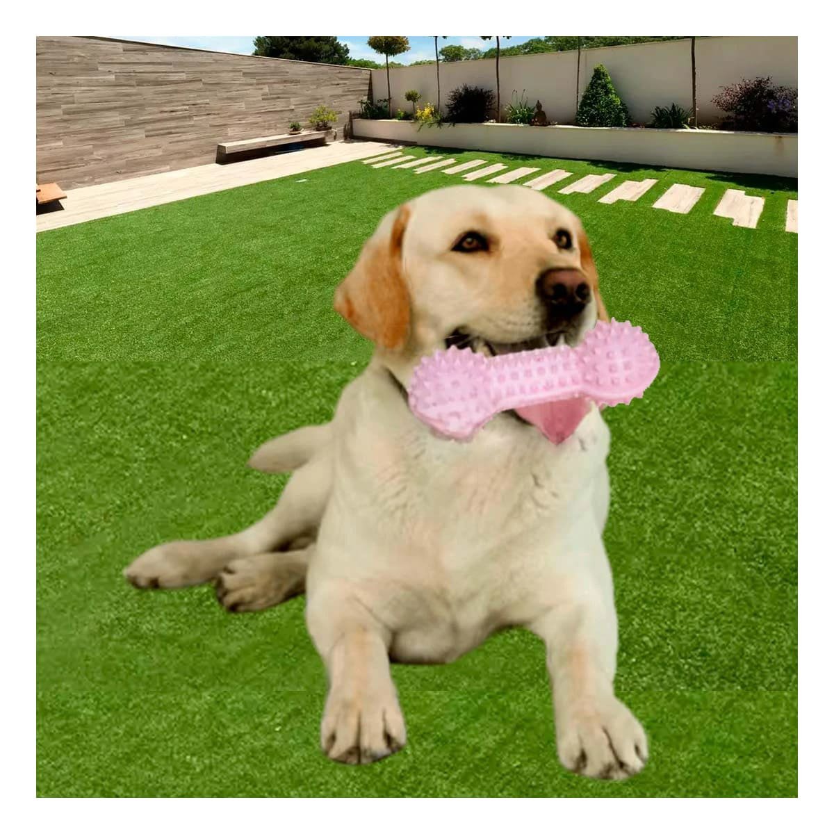 PACK12 HERRAMIENTA DE JUEGO ROSADO PARA MASCOTAS FORMA DE PESA DURABLE Y+PAPEL REGALO - 5