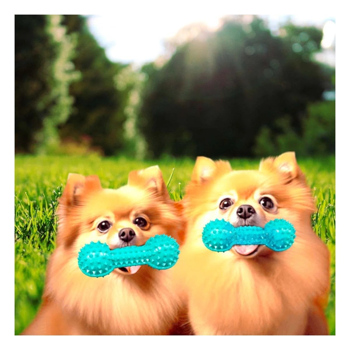 PACK4 APARATO DE JUEGO VERDE AGUA PARA MASCOTAS PESA CON PUNTAS SEGURAS Y+PAPEL REGALO - 2