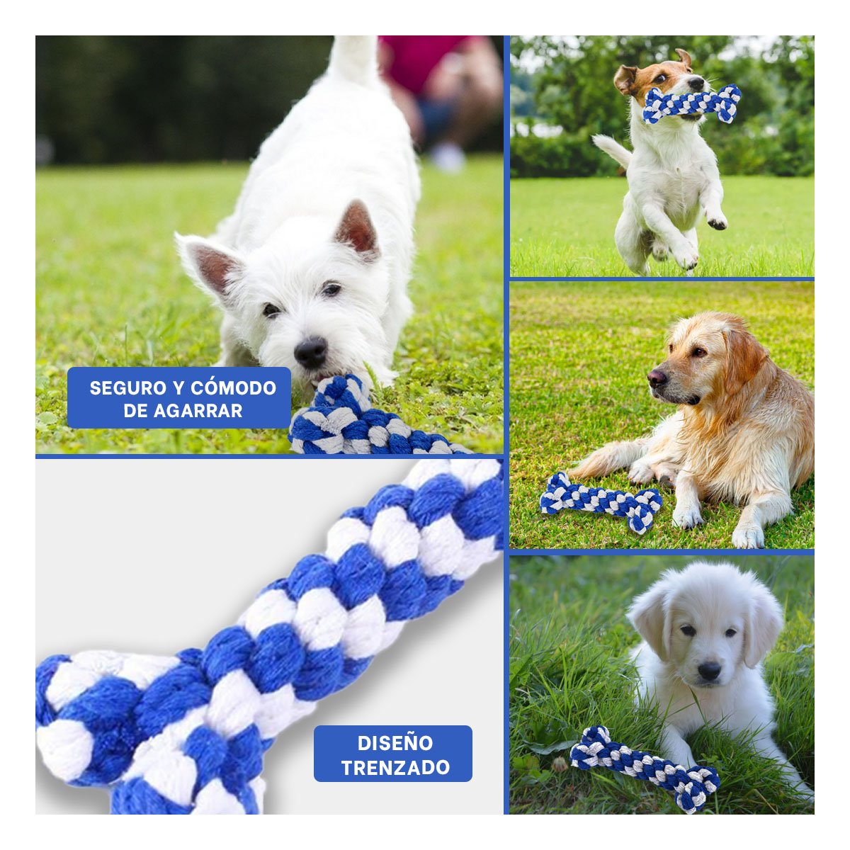 PACK6 OBJETO INTERACTIVO CANINO 15X6,5 CM DE CUERDA AZUL Y+PAPEL REGALO - 3