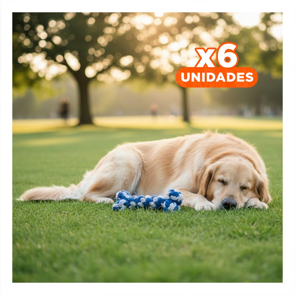 PACK6 OBJETO INTERACTIVO CANINO PARA JUEGOS EN INTERIOR AZUL Y+REGALO STICKER - 1